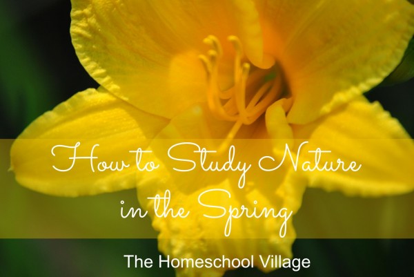 How to Study Nature in the Spring