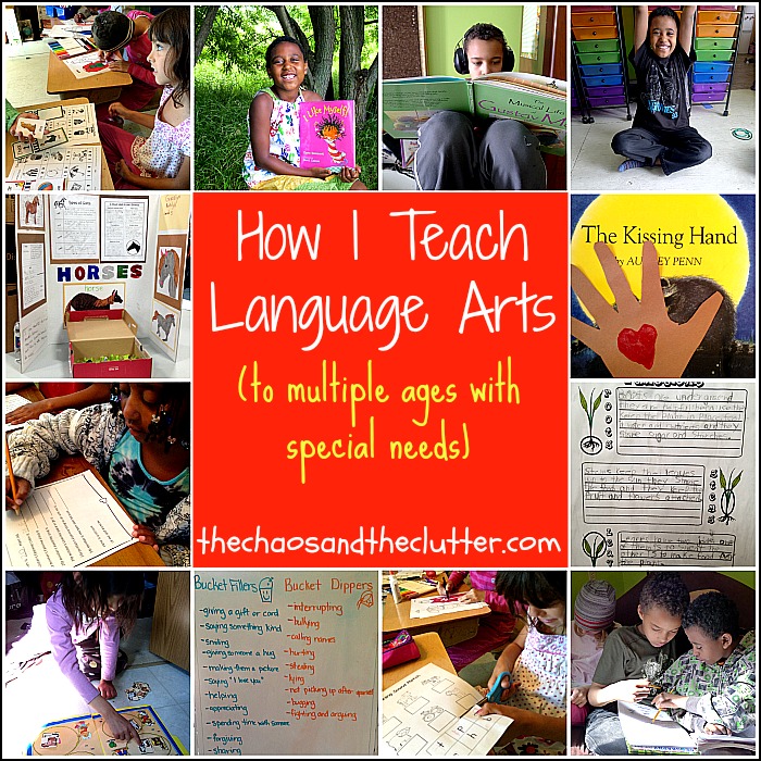 How I Teach Series... (to multiple ages with special needs)