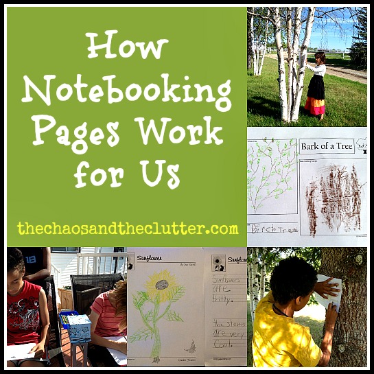 Organizing Notebooking Pages