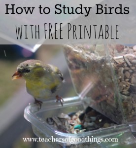 Charlotte Mason How-to Resource list: the study of birds {free printable}