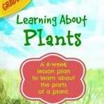 Learning All About Plants (6-week lesson plans)