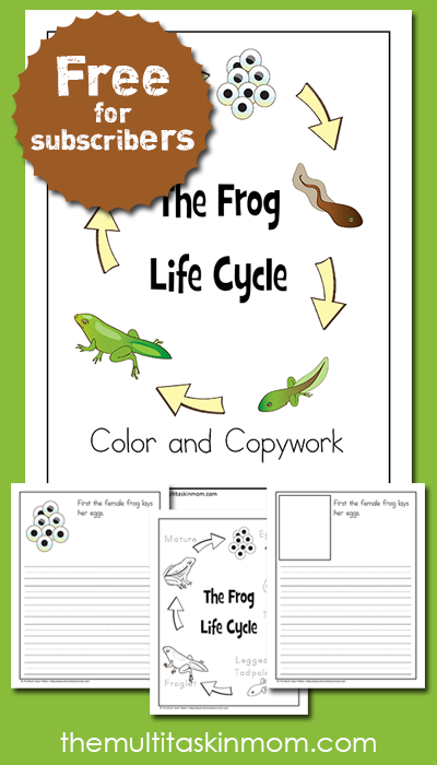 Free Frog Life Cycle Color and Copywork