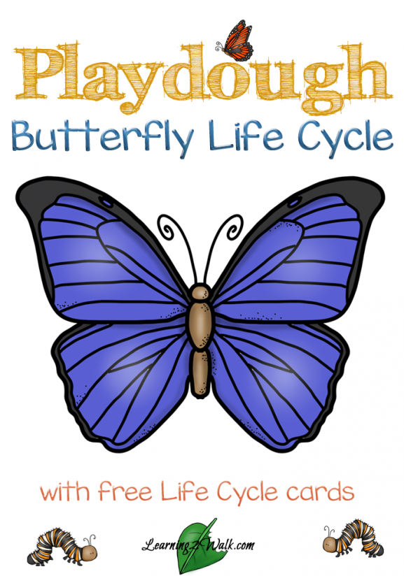 Free Playdough Butterfly Life Cycle Cards