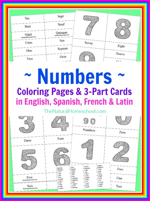 Number Coloring Pages in 4 Languages {Printable}