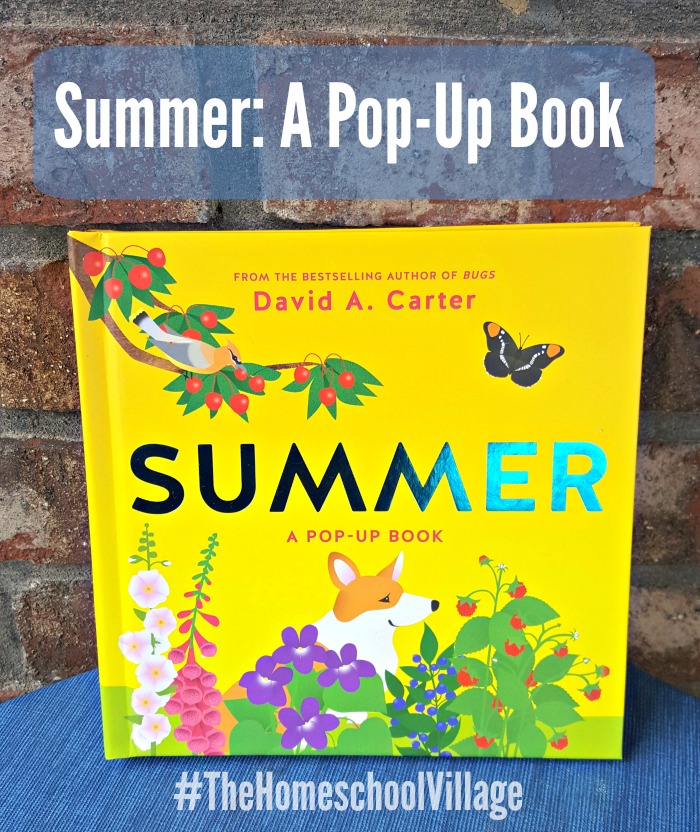 Summer: A Pop Up Book