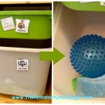 Creating Opportunities for Fitness in the Homeschool Room