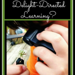 Interested in delight directed learning for your homeschool? This post has some great tips on getting started and some curriculum recommendations.