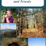 Discovering Your Parks and Forests