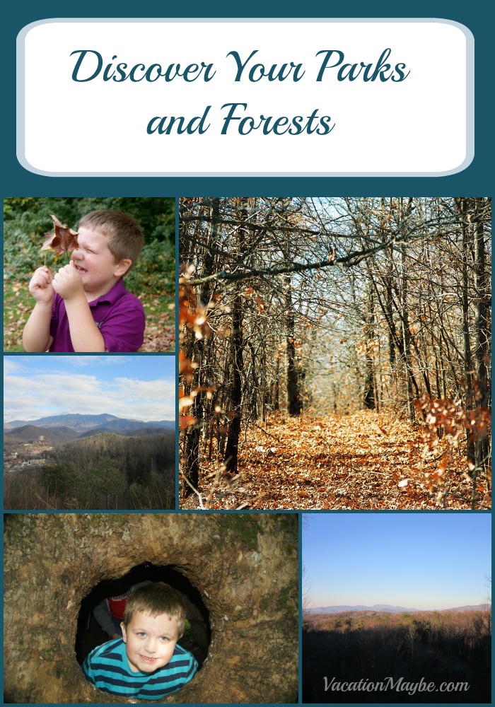 Discovering Your Parks and Forests