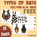 Types of Bats Tot & PreK-K Pack {FREEBIE}