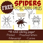 Types of Spiders Coloring Pages {freebie}