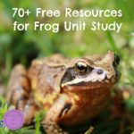 Free Frog Life Cycle Resources