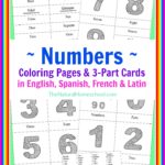 Number Coloring Pages in 4 Languages {Printable}