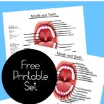 Human Tooth Names ~ Free Labeling Printables