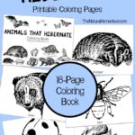 Animals that Hibernate in Winter Printable Coloring Book